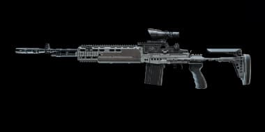 M39 EMR DMR Weapon