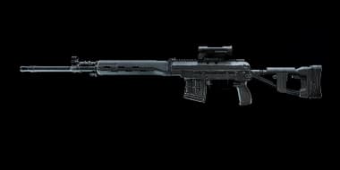 SVDM DMR Weapon